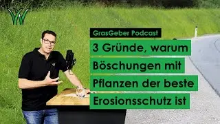 3 Gr&uuml;nde, warum B&ouml;schungen mit Pflanzen der beste Erosionsschutz sind