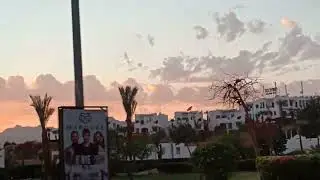 Sharm Al Sheikh, 2020(1)