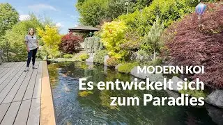 Jessica und Peters Teich | Modern Koi Blog #7507