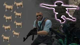 привет, это goatY🐐(cs:go)