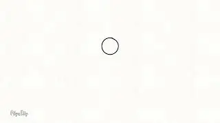 First animation