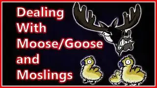 Dealing With Moose/Goose and Moslings | Don't Starve Together - Part 26 (Edgy Rick/Tonicwater)