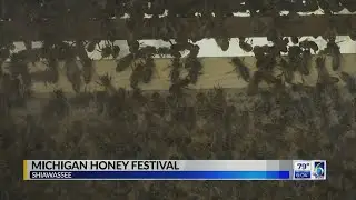 Michigan Honey Festival