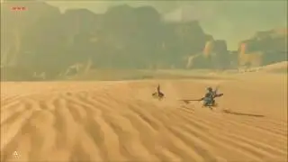 How to easily catch a Sand Seal