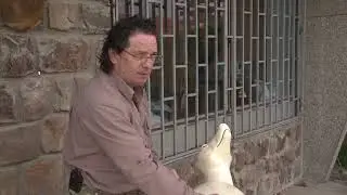 Prepariranje vuka 1.deo - Lovački saveti