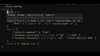 Rewrite ANY config in Lua (doing tmux today)