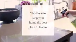 Always Green Cleaning Services Chicago  (872) 356 0166