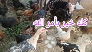 قلت أقطع الشك باليقين ⁉️😂 وأشوف هما الاتنين ولا واحدة بس ⁉️😅🙃
