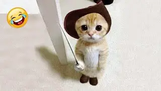 You Laugh, You Lose! 🤣 Funny Cat Videos 2026 😹 Part 2