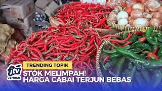 Harga Cabai Anjlok di Awal 2026 Stok Melimpah, Pembeli Sumringah!