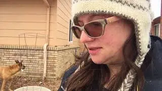 Composting in the Snow!!!