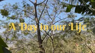 A day in our life ( Days in Nungsai )