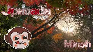 Minoh Autumn Leaves