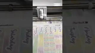 Cutting EC Daily Duo Kits