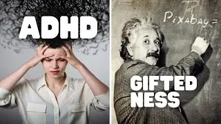 Giftedness vs ADHD Explained
