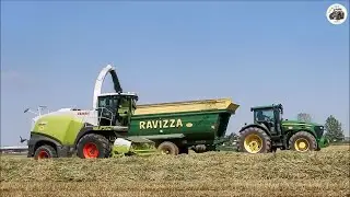 Claas Jaguar 880 (496) + Pick Up 3m - Agromeccanica Negroni - Trinciatura triticale 2022