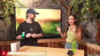 Livestreamfail top clips a 81 year old grandma gets swatted and Maya cries when she hears the news