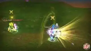 Silkroad PvP Bow/Fire/Force Full +14 Cap 120 QueenSRO Fun