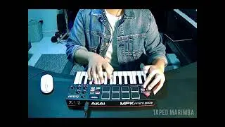 The Kid LAROI & Justin Bieber - Stay (Remix) 2022 | Akai MPK Mini Play