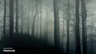 First Time Players Playthrough Curse of Strahd Episode 1, Describe your character