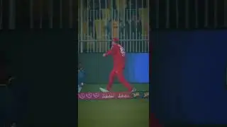 The ball boy x Colin Munro  #foryou #cricketlover #cricket #colinmunro #trending #ytshort