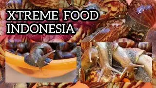 XTREME FOOD INDONESIA - TURMERIC SAMBAL SNAIL(BEKICOT) / BEKICOT SAMBAL KUNYIT / 姜黄三宝蜗牛