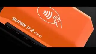 SUNMI P2 PRO mobile POS Camera 4G Wi-Fi Barcode Bluetooth Printer 58mm high speed Display 5.99 HD+