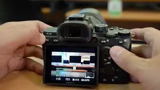 Part 2: Sony A7 III Focus and Exposure Settings