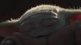 Pufferfish Carrot Meme (Baby Yoda)
