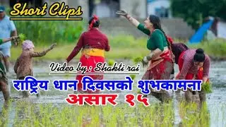 राष्ट्रिय धान दिवसको शुभकामना तथा असार १५ सबै नेपाली प्रती || Shakti Rai,Shakti Vlogs ||