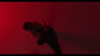 Primordial Unity - A Dance Film