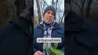 ВОТ ЭТО ПАПА ВЫДАЛ!🤣 До конца!