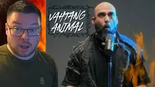 BEATBOX D&B FIRE | VAHTANG - ANIMAL | FIRST TIME REACTION