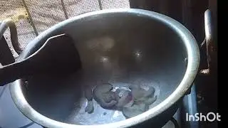 Daal Chawal Banay ka Sasan Trika  😋 YouTube Channel Mama Food Ha 