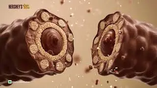Introducing HERSHEY&rsquo;S CHOCOTUBES (Creamy Milk)
