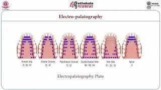 Instrumentation And Technology In Acoustic Phonetics