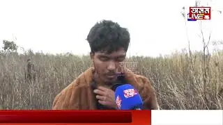 যাদৱ পায়েঙৰ সেউজ মোলাই কাঠনিৰ অৱস্থা কৰি কৰিলে চাওঁক দুৰ্বৃত্তই।