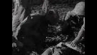 Throat Shot Out: A Rescue Attempt Featured in 'Flags of Our Fathers' | Georgia in WWII
