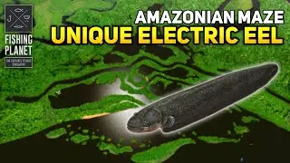 Unique Electric Eel Amazonian Maze - Fishing Planet