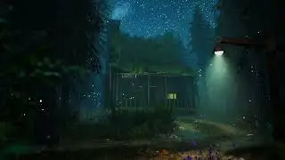 Night Wind Ambience 🌌 Gentle Crickets for Sleep & Relaxation (3 Hours)