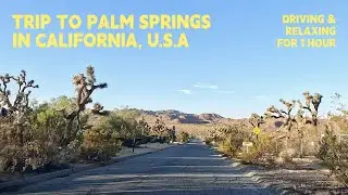 Driving in California Desert: 4K Road Trip to Palm Springs | Yucca Valley | Joshua Tree | GoPro12