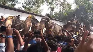 Mk karnan, putupally kesavan,chirakkal kalidasan talapokkam