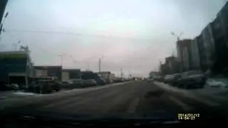 Пес переходит дорогу по переходу у ТК Пилот, Гатчина