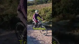 Real World DJI Neo 2 MTB Test & More...
