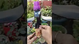 Don't throw plastic surf bottle#houseplants #diy#livestreaming 