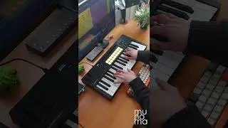 The Stranglers - Golden Brown (Cover) | Launchkey MK4