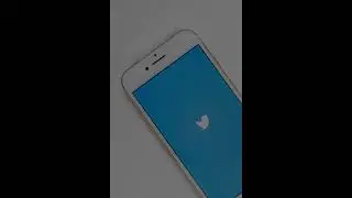 Twitter Data Leak Investigated