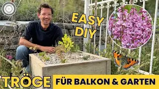 Selber bauen! - LANGLEBIGER TROG - für Biene Hummel Schmetterling