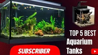 Top 5 Best Aquarium Tanks In 2025