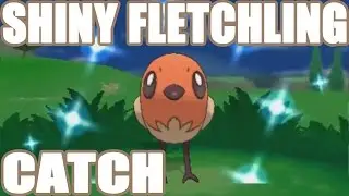Live Shiny Fletchling Catch! REVENGE EDITION! Pokemon XY ORAS Hype!